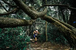 BIB: 
                            <button type="button" onclick="openModal(25705451)" class="btn btn-primary btn-sm float-right btn-popup" data-toggle="modal" data-target=".modal-high-quality">
                        <i class="fas fa-shopping-cart"></i> Add to Cart
                    </button>
                                            <button type="button" onclick="isThisMe(25705451, true)" class="btn btn-success btn-sm float-right btn-popup btn-isme hidden" data-toggle="tooltip" data-placement="bottom" title="นี่คือรูปของคุณใช่ไหม คลิกที่นี่เพื่อเอาเข้าอัลบั้ม">
                        <i class="fas fa-plus"></i> Add to album
                    </button>
                    <button type="button" onclick="isThisMe(25705451, false)" class="btn btn-warning btn-sm float-right btn-popup btn-isnotme hidden">
                        <i class="fas fa-ban"></i> Remove from album
                    </button>